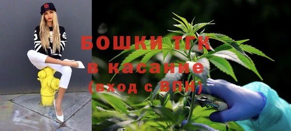 крисы Баксан