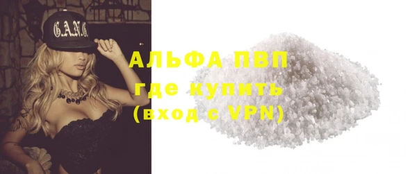 крисы Баксан