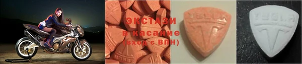 крисы Баксан