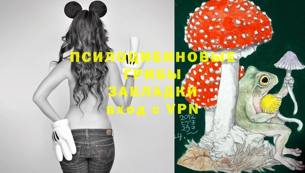 эйфоретик Балахна