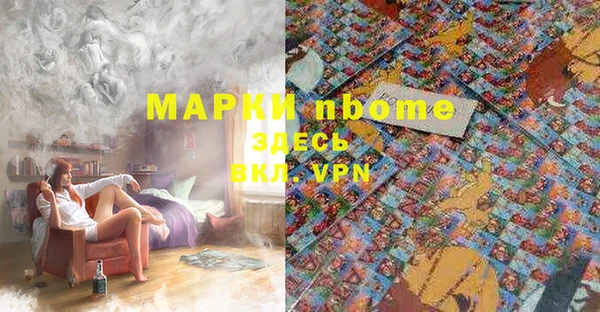 крисы Баксан
