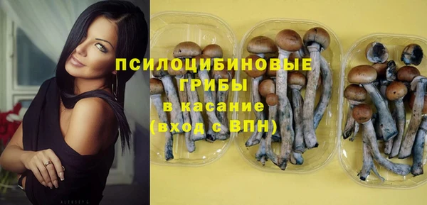 эйфоретик Балахна