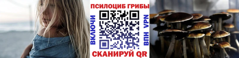 Псилоцибиновые грибы Psilocybine cubensis OMG как войти Тында