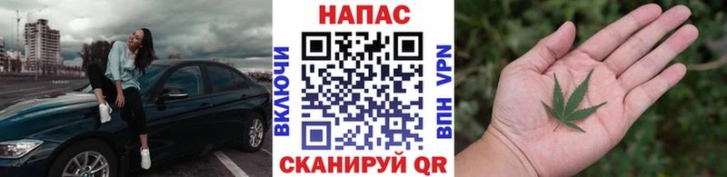 МАРИХУАНА тримм  продажа наркотиков  Тында 